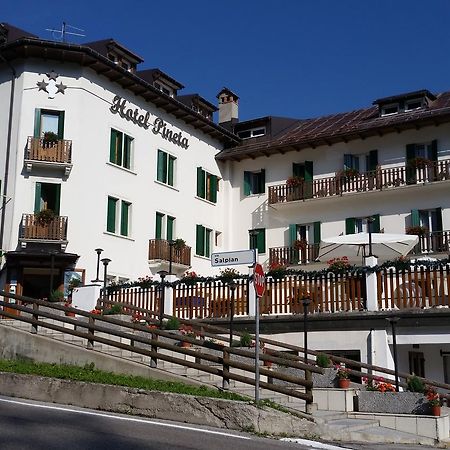 Hotel Pineta Falcade Bagian luar foto
