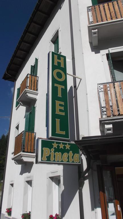 Hotel Pineta Falcade Bagian luar foto