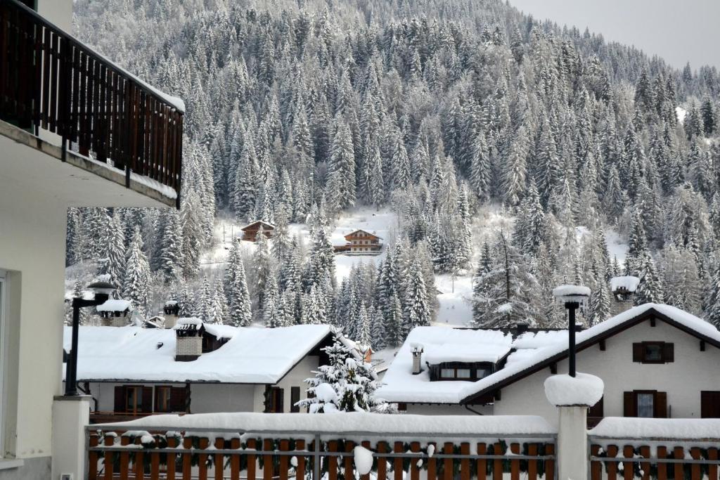Hotel Pineta Falcade Bagian luar foto