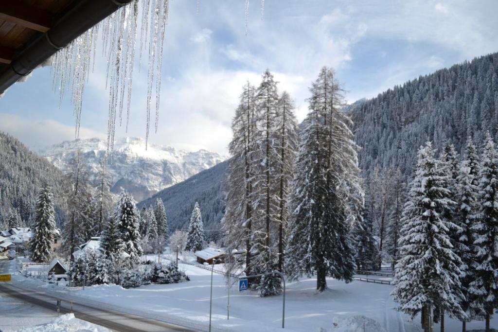 Hotel Pineta Falcade Bagian luar foto