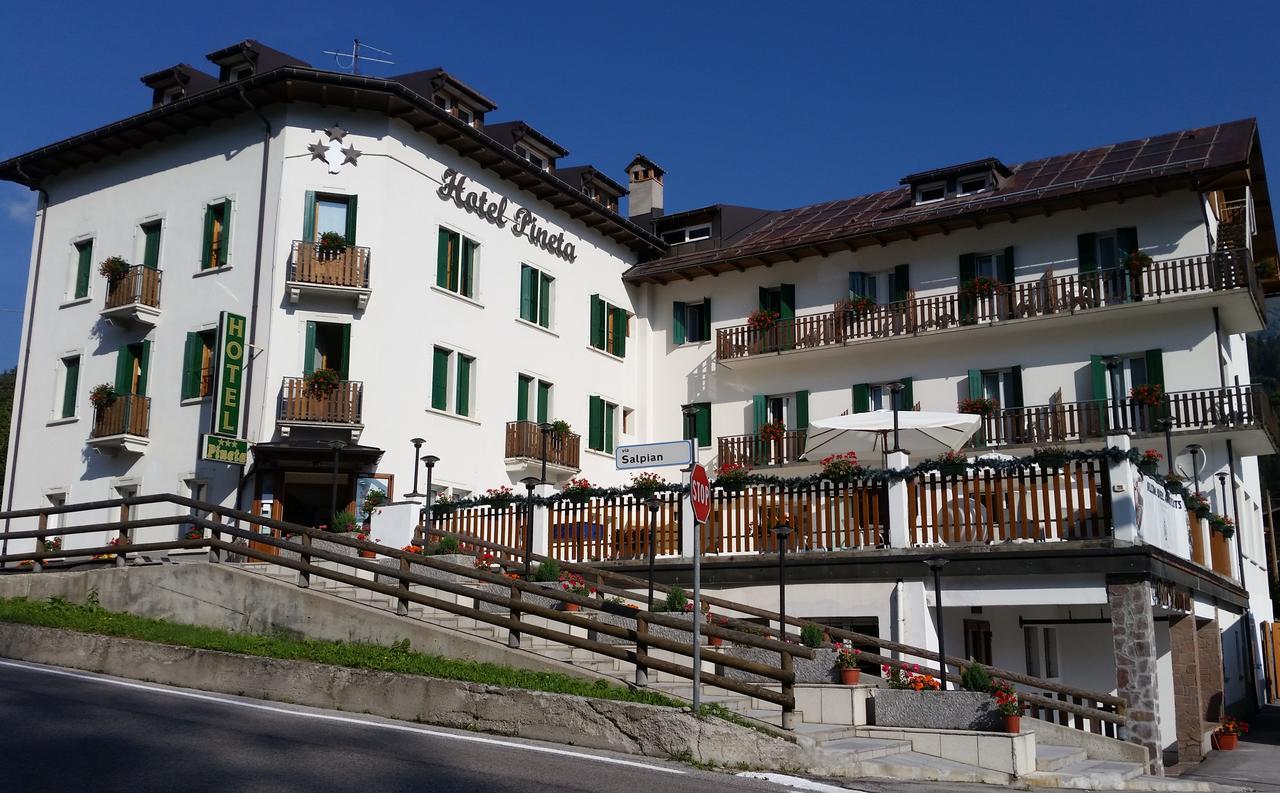 Hotel Pineta Falcade Bagian luar foto